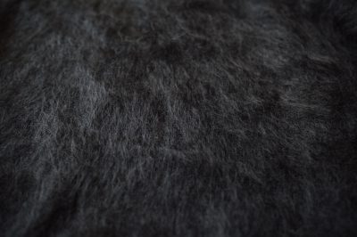 dsc_0745-1